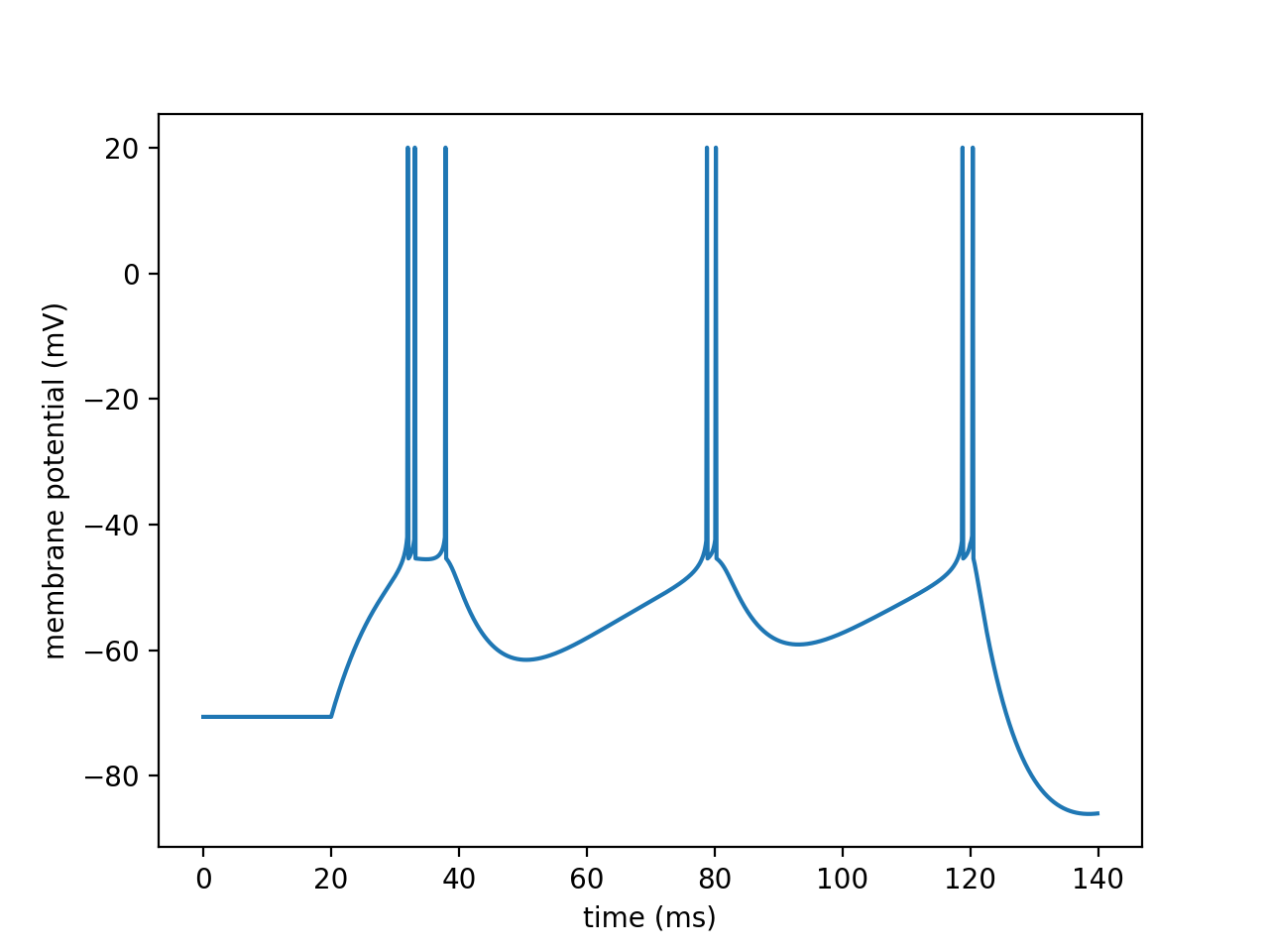 Bursting Firing Pattern