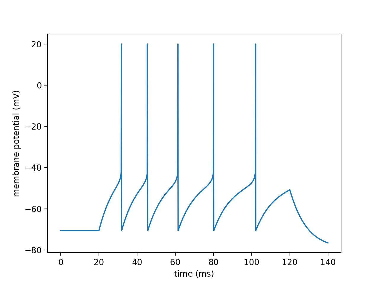 Regular Firing Pattern